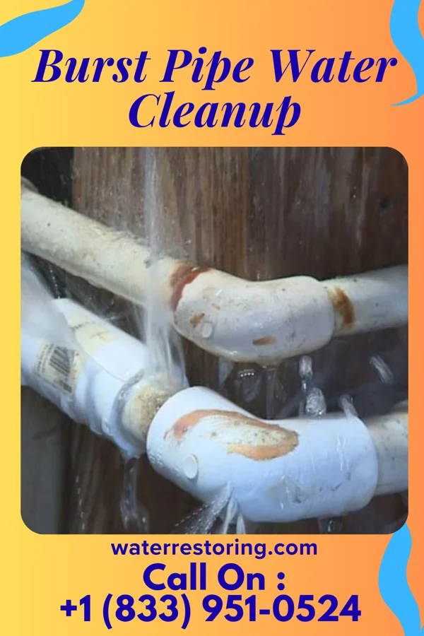 Burst Pipe Water Cleanup in New Hope, TN
