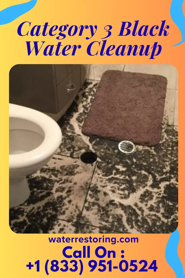 Category 3 Black Water Cleanup in New Hope, TN