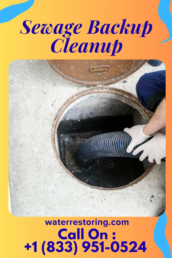 Sewage Backup Cleanup in New Hope, TN